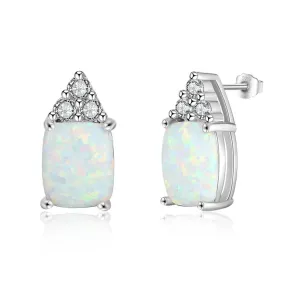 925 Sterling Silver Stud Earrings Ear Jewelry Accessory for Women