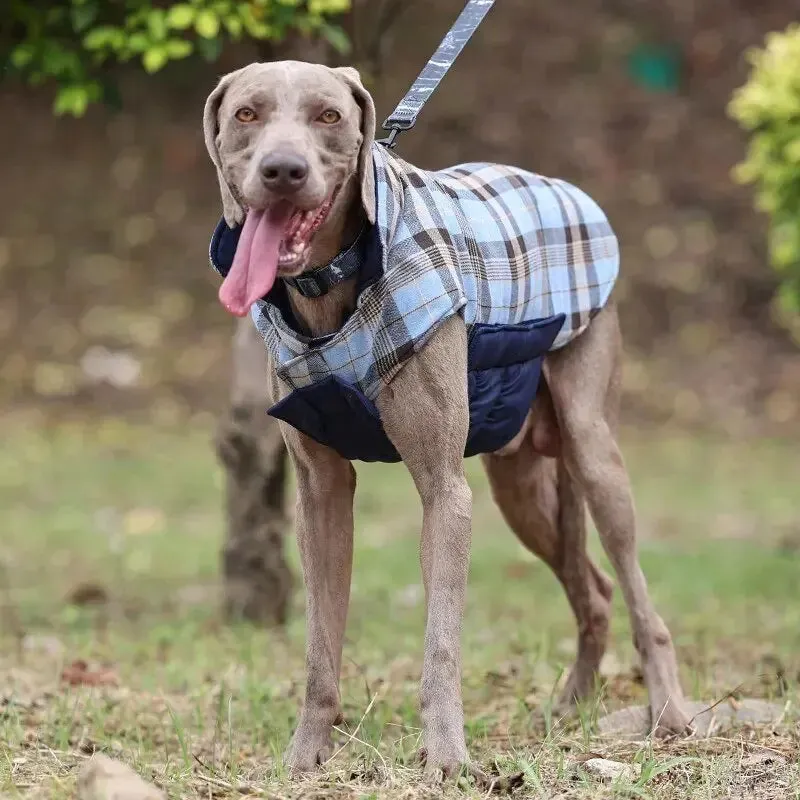 Anniepaw Highland Hound Dual Elegance: Plaid & Solid Turtleneck