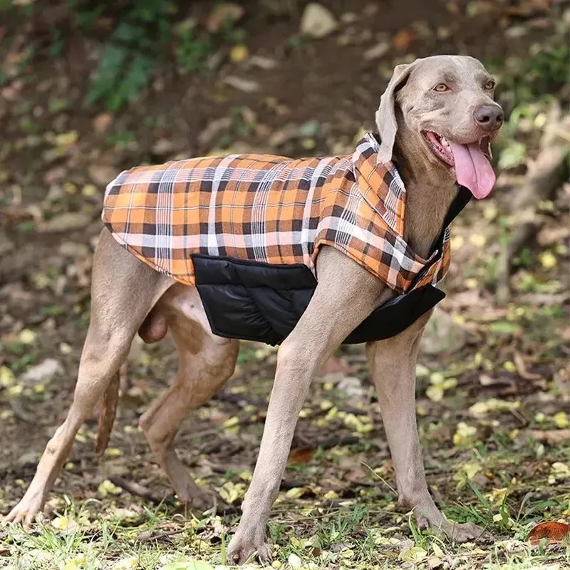 Anniepaw Highland Hound Dual Elegance: Plaid & Solid Turtleneck