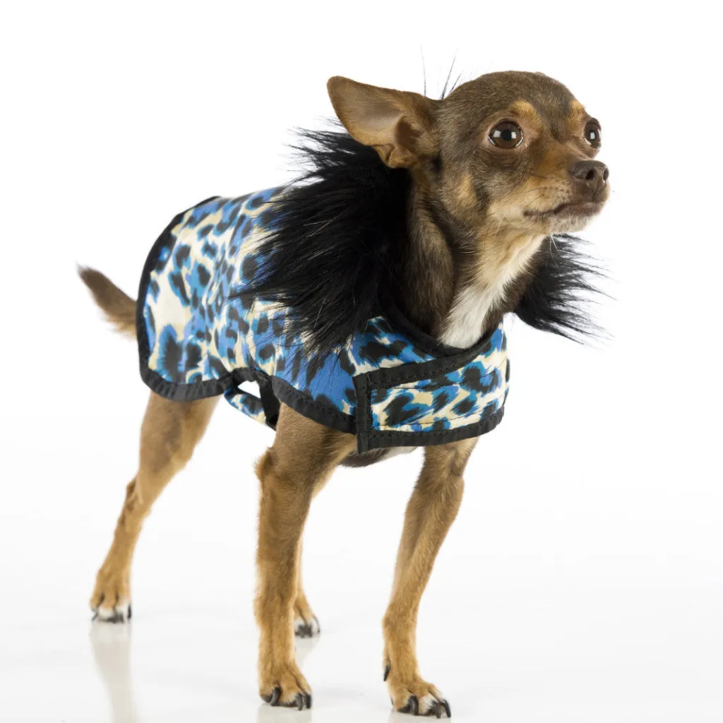 Blue Leopard Posh Puppy Coat