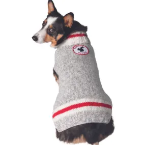 Chilly Dog Sweater Squirrel Patrol