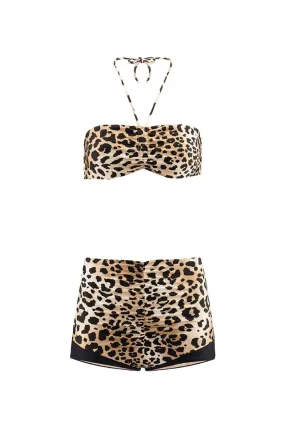 Leopard Ruched Hot Pants