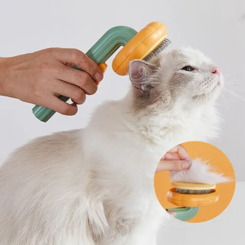 Pet Pumpkin Brush - A Loving Grooming Experience!