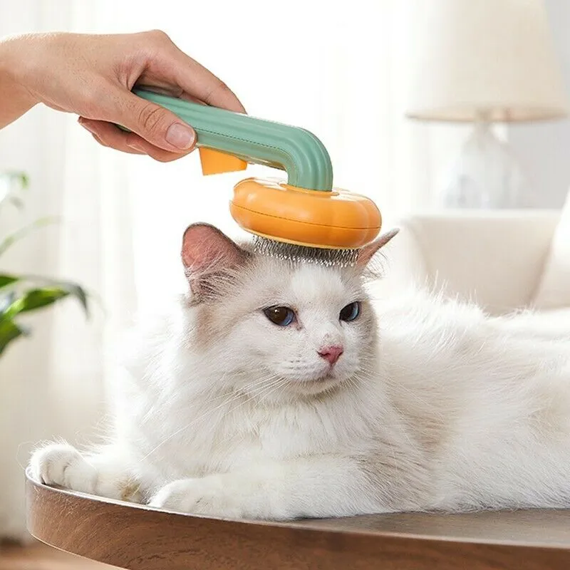 Pet Pumpkin Brush - A Loving Grooming Experience!