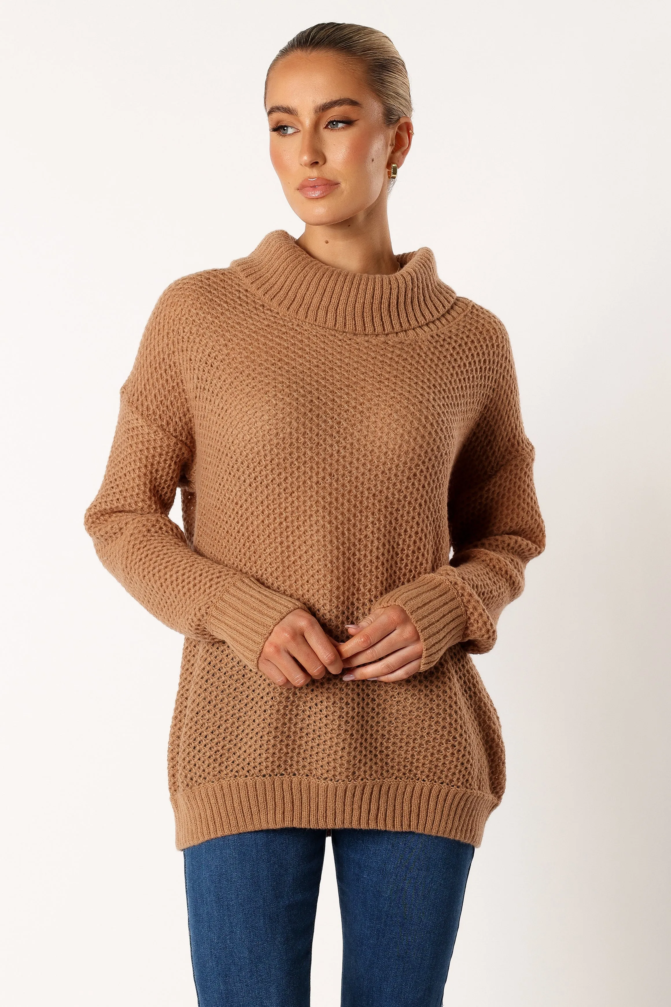 Rayne Turtleneck Knit Sweater - Beige