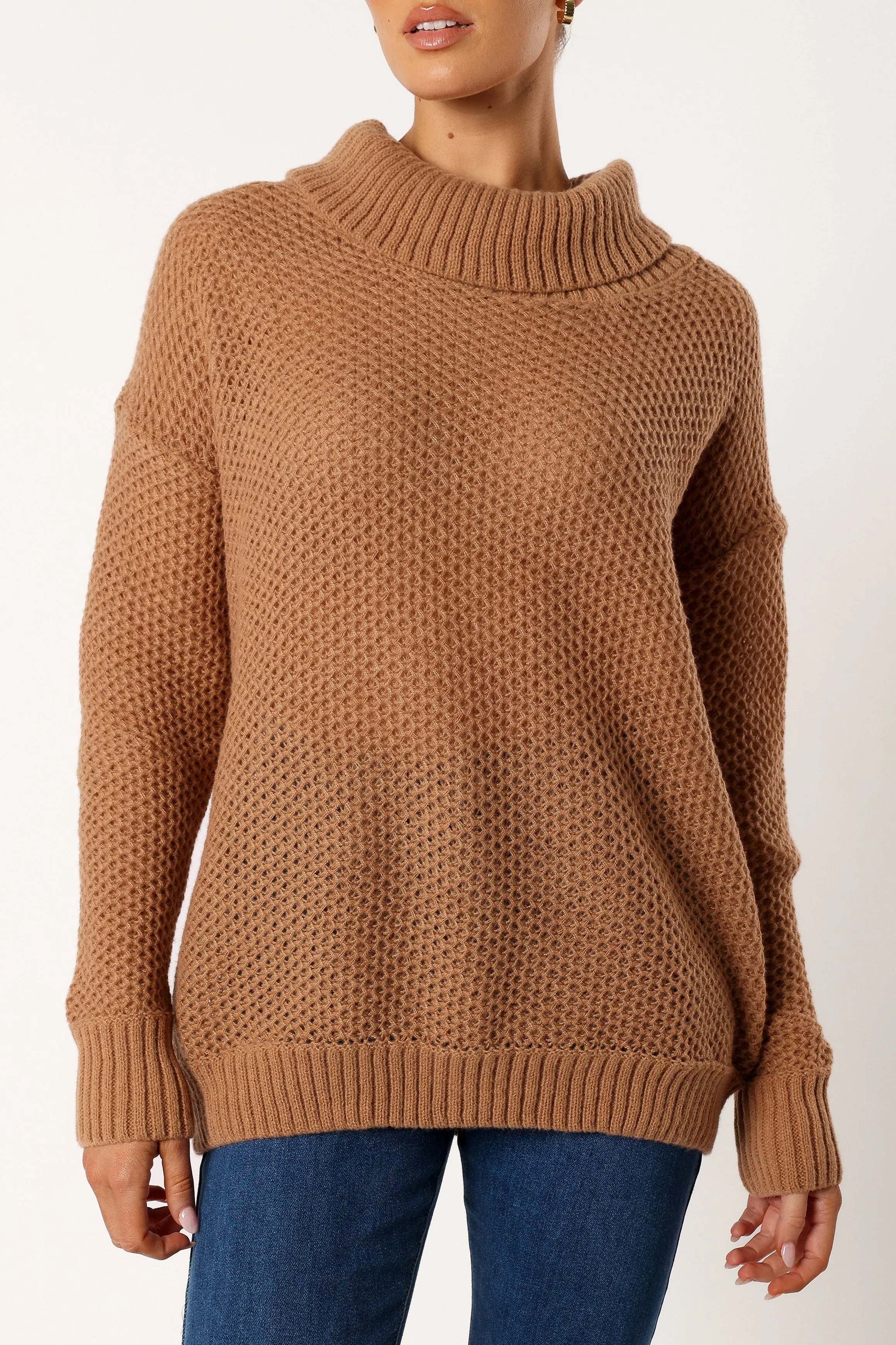 Rayne Turtleneck Knit Sweater - Beige